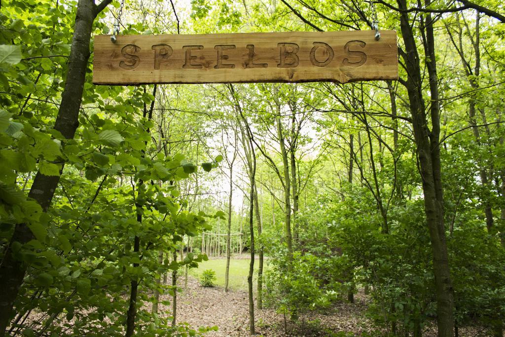 Pipowagen Camping Puur Genieten Bed & Breakfast Someren Стая снимка